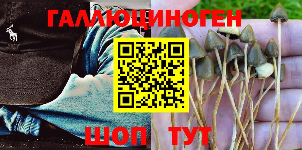 Псилоцибиновые грибы прущие грибы  Вход с VPN  Мелеуз 