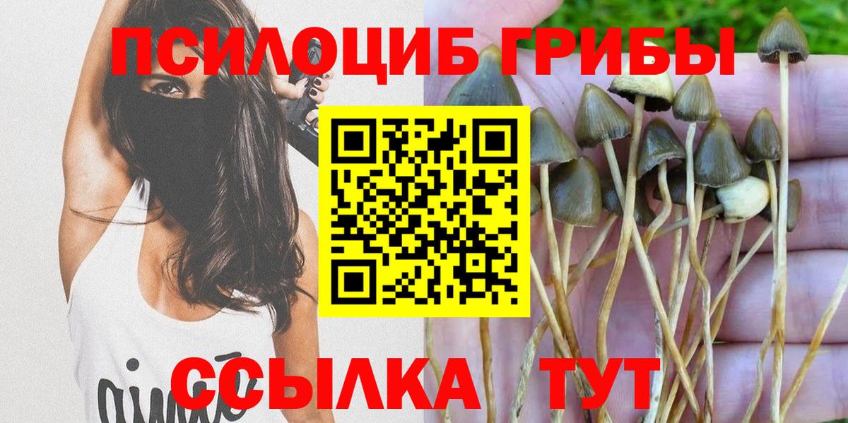 Псилоцибиновые грибы Psilocybine cubensis Мелеуз